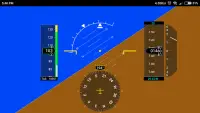 Flight Simulator Display Screen Shot 4