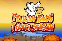 Pelican Birds Travel Season Screen Shot 6