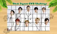 EXO Block Puzzle Challenge Screen Shot 1