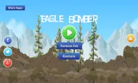Eagle Bomber - defeat enemies Screen Shot 1