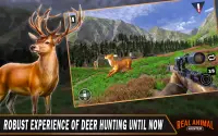 Real Animal Hunter - New Deer Hunting Games Screen Shot 8