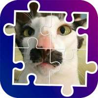 Funny cats tile puzzle