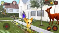 Chihuahua Dog Simulator Screen Shot 2