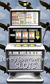 3D Lonely Sparrowhawk Slots Screen Shot 0