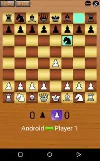 체스 Screen Shot 2