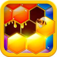 Hexa Hive Puzzle : hexagon block game