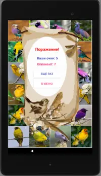 Игра на память. Птицы. 6  Screen Shot 12