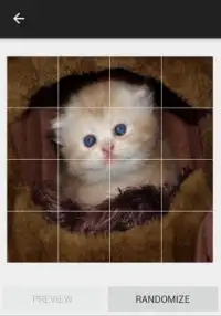 Kitten Sounds and Puzzles Free Screen Shot 4