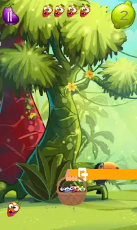 Catch Crazy Fruit Screen Shot 2