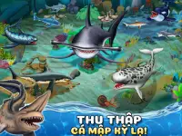 Shark World-Thế giới cá mập Screen Shot 2