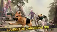 Mi Perro vs Zombies Simulador Screen Shot 6