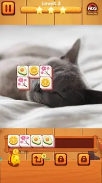 Cat match puzzle: block puzzle Screen Shot 1
