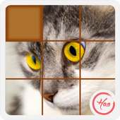 Puzzle Kucing Lucu