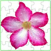 Flower Puzzle - Educational Game