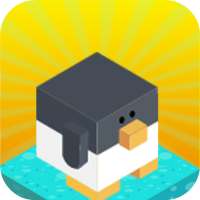 Cute bird boxy run game - Box Runnner game