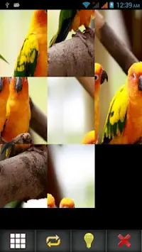 Birds Puzzle Screen Shot 14