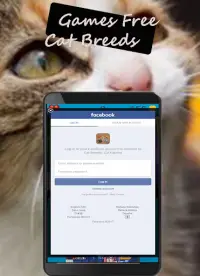 Cat Breeds: Cat Games Screen Shot 12