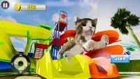 Cute Cat Simulator 2018 Screen Shot 4