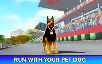 Pet Dog Run Simulator - Greyhound Racing Game Screen Shot 11