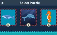 Sea Animals Puzzles! Screen Shot 1