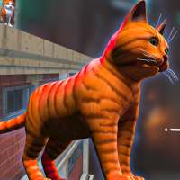 Stayer Cat Simulator: Lost Pet