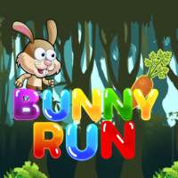 Bunny Run - Zoo Run
