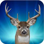 Deer Hunter Jungle Episode