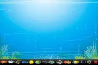 Aquarium Maker Screen Shot 5