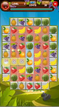 Fruit Match Screen Shot 2