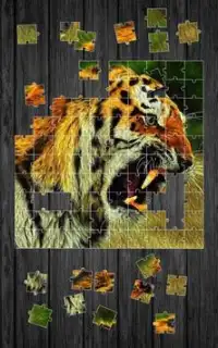 Tigers Jigsaw Puzzle Game Screen Shot 4