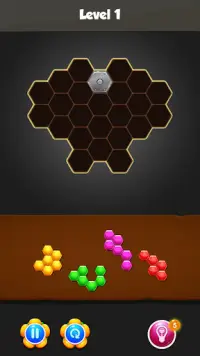 Hexa Block - Hexa Puzzle Game Screen Shot 0