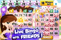 Bingo PartyLand - Free Bingo Games Screen Shot 0