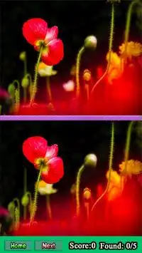 Différence spot Image du jeu Screen Shot 4