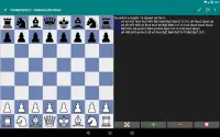 Perfect Chess Database Demo Screen Shot 17