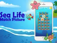 Kids Sea Life Match Picture Screen Shot 6