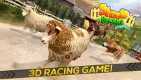 Domba Balap 3D Farm Games Screen Shot 8