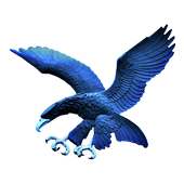Ateneo Blue Eagles