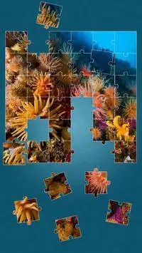 Under the Sea Jigsaw Puzzles Screen Shot 2