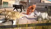 베스트 고양이 경주 . 레이싱 월드 무료 게임 어린이 Screen Shot 11