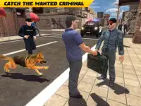 شرطة الحدود الكلب تشيس سيم 3D Screen Shot 11