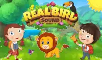 Real Bird Sounds Screen Shot 0