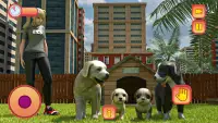 가상 개 시뮬레이터 게임-귀여운 강아지 애완 동물 Screen Shot 0