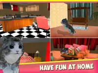 Cute Kitty Cat - 3D Simulator Screen Shot 6