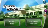 School Cricket Screen Shot 0
