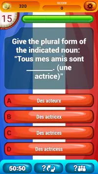 French Grammar Test Quiz Screen Shot 4