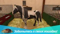 Horse World Premium – игра о лошадях Screen Shot 0