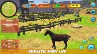 Farm Animals Horse Simulator Screen Shot 2