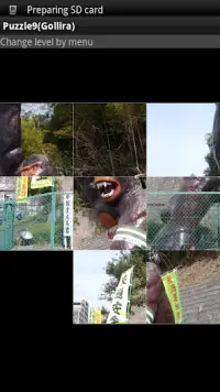 Puzzle9(Gorilla) Screen Shot 2