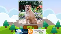 Perro razas juego Screen Shot 9