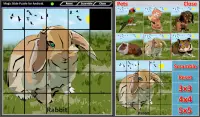 Magic Slide Puzzle Pets Screen Shot 5